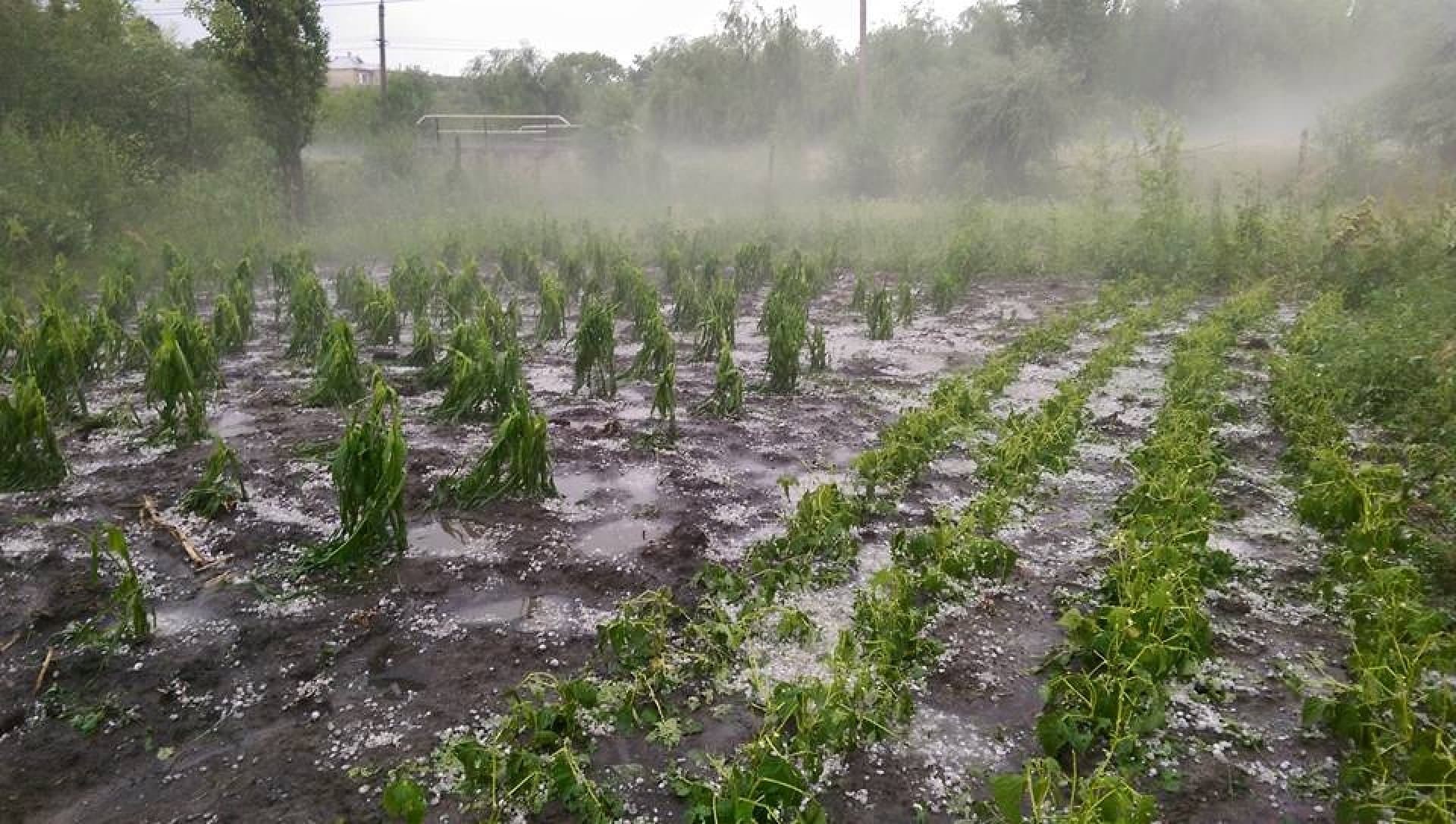 Situație alarmantă în agricultură