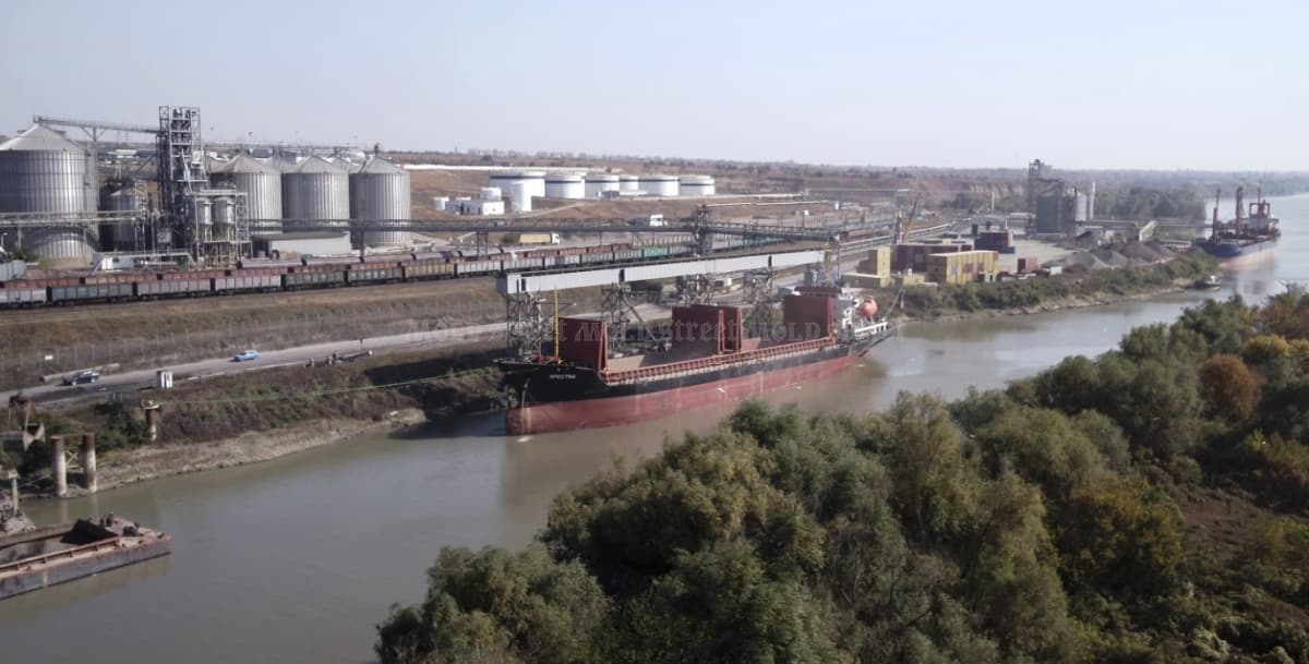 De ce am ajuns să importăm floarea-soarelui din Argentina?