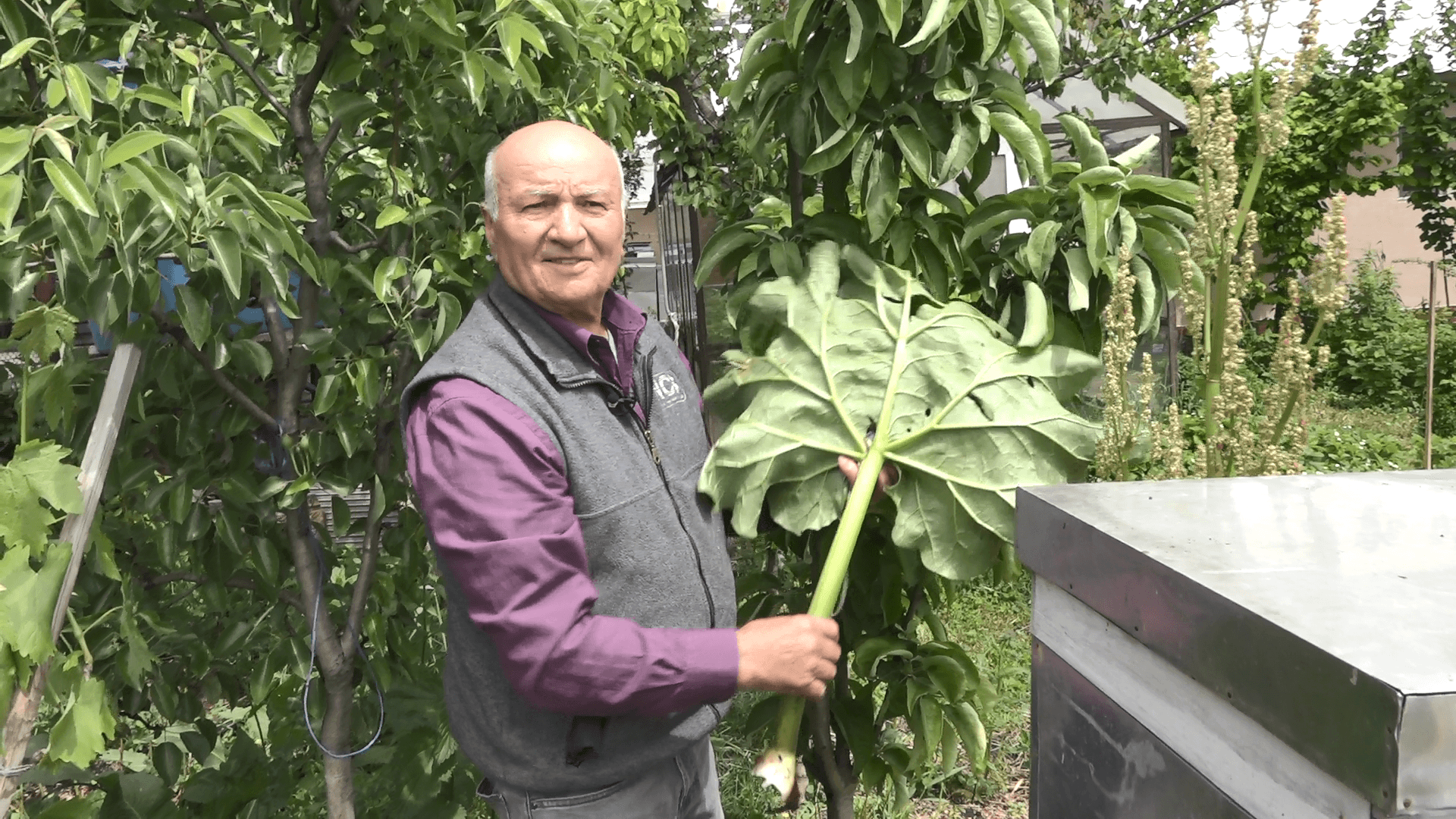 Agricultura ecologică nu este un moft, ea devine un stil de viață!
