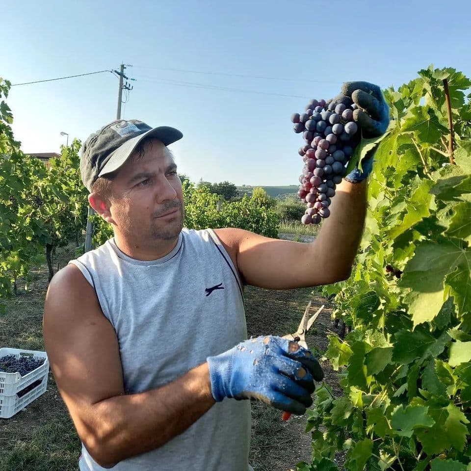 Primar în Moldova, în concediu – gastarbeiter