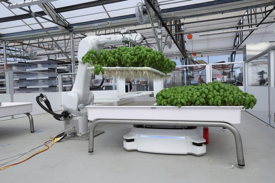Bill Gates investește masiv în agricultură și AgriTech