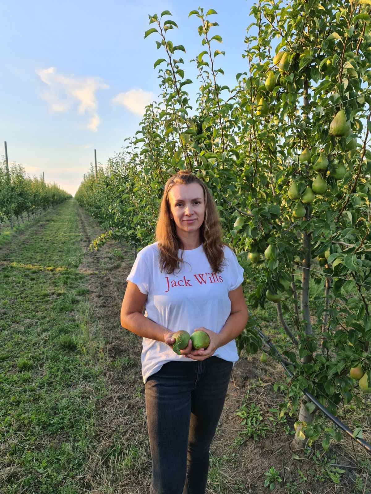 Cum să exportați caise în Olanda? Aflați din experiența celor cărora le-a reușit