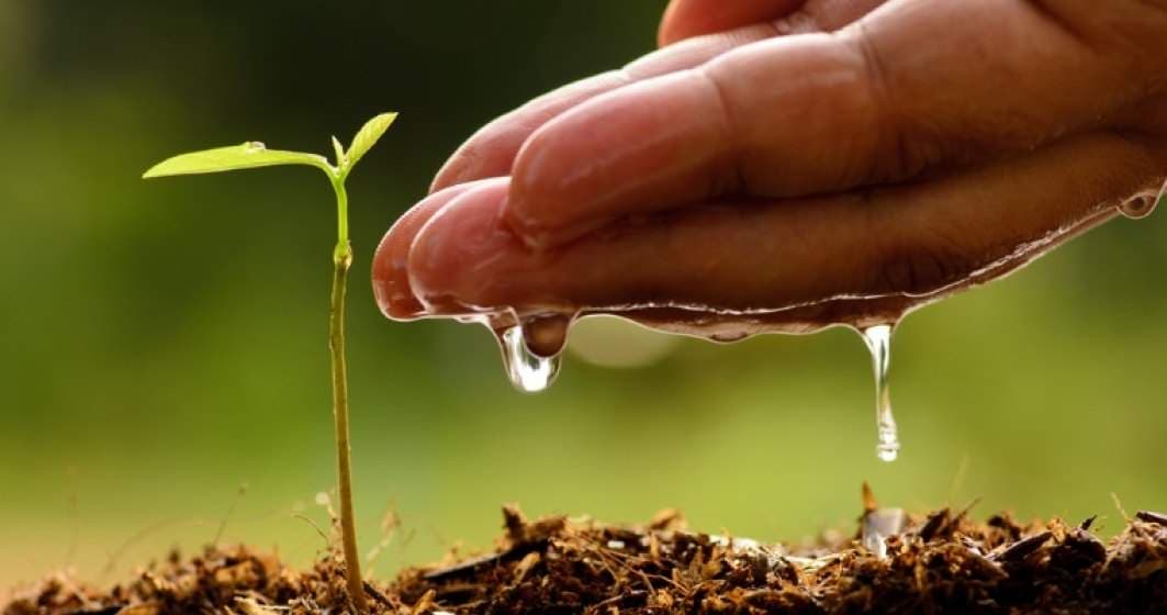 Europenii vor susţine dezvoltarea agriculturii ecologice în Moldova