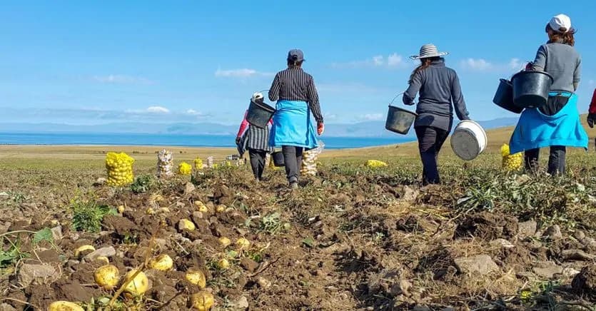 Cum legalizăm munca în agricultură? Soluțiile propuse de Guvern