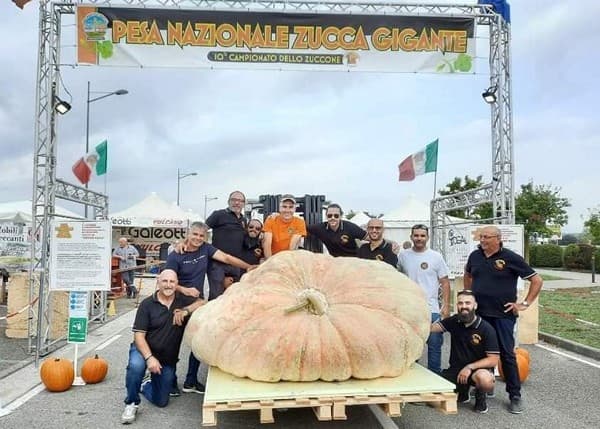 Câte plăcinte poți să faci dintr-un bostan de peste o tonă?