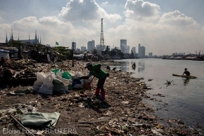 Raport WWF: 90% dintre râurile europene vor fi insalubre în 2027