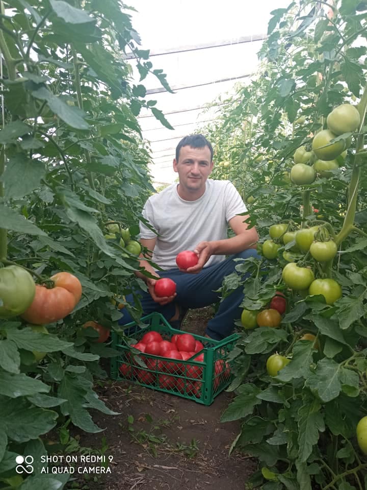 Și profesorii fac agricultură