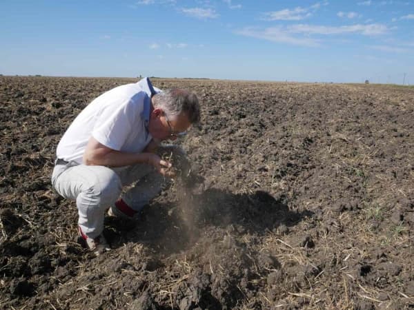Dacă nu ai buruieni, nu ai biodiversitate, citește 5 principii după care se ghidează fermierii