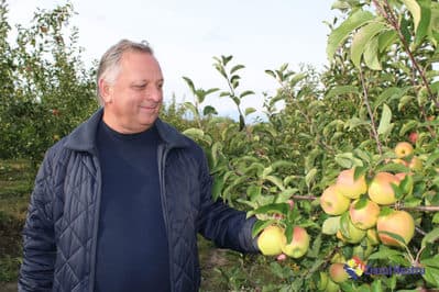 AFACERE MODEL ÎN HORTICULTURĂ LA NOI ACASĂ
