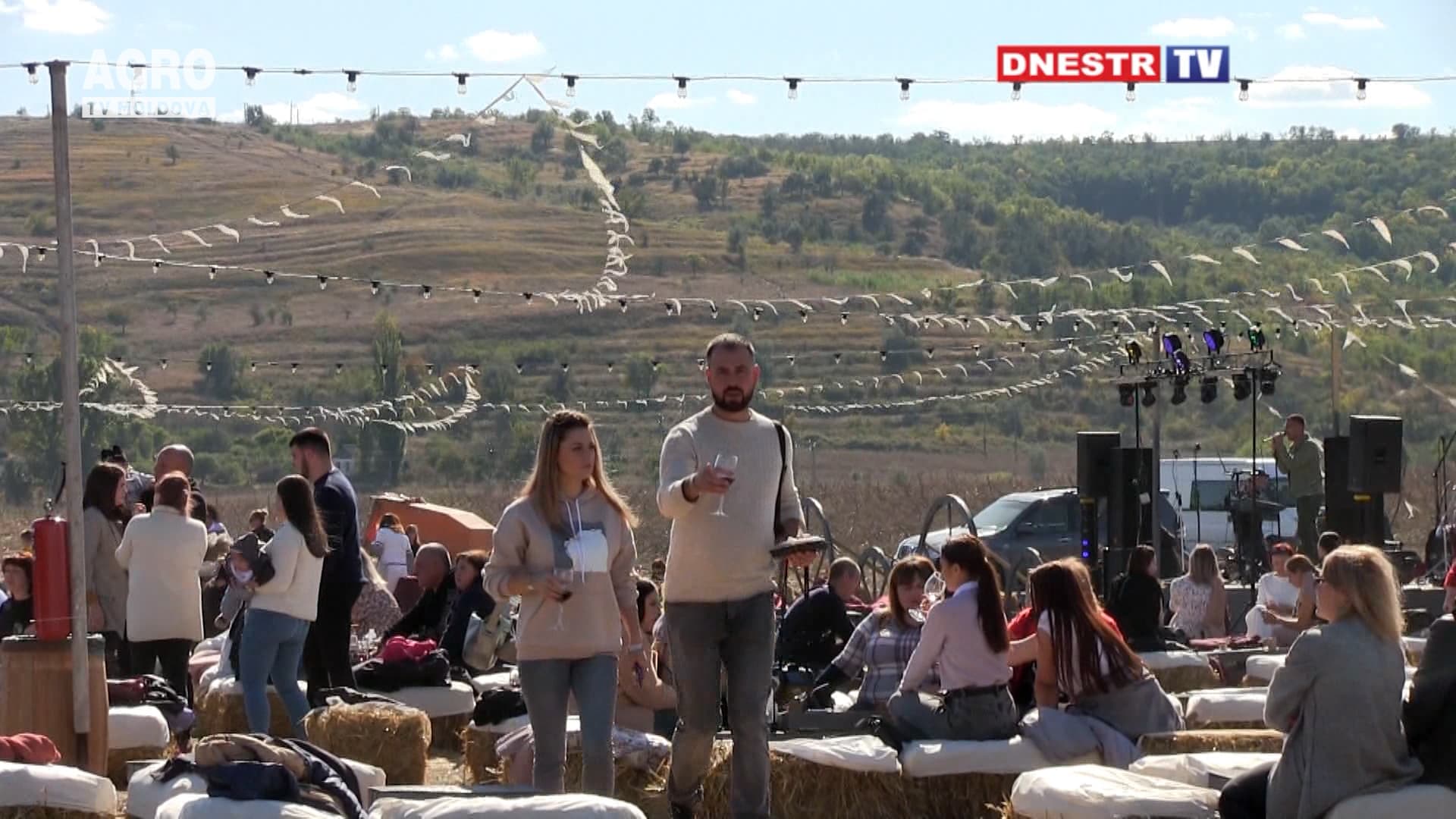 Istoria de succes a unei dinastii de vinificatori