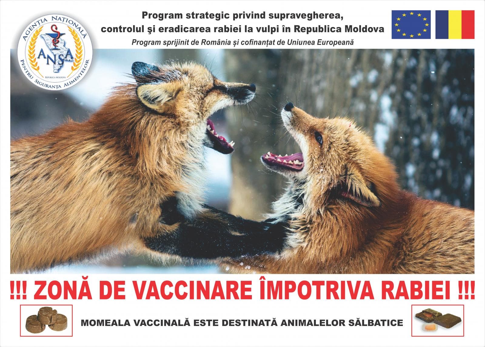 Pe parcursul lunii octombrie 2021 se va desfășura Campanie de vaccinare antirabică a vulpilor în Republica Moldova