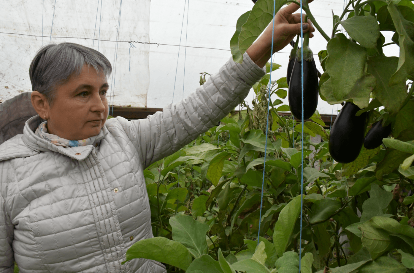 Olga Nicoară: fermier, angajată, mamă şi soţie
