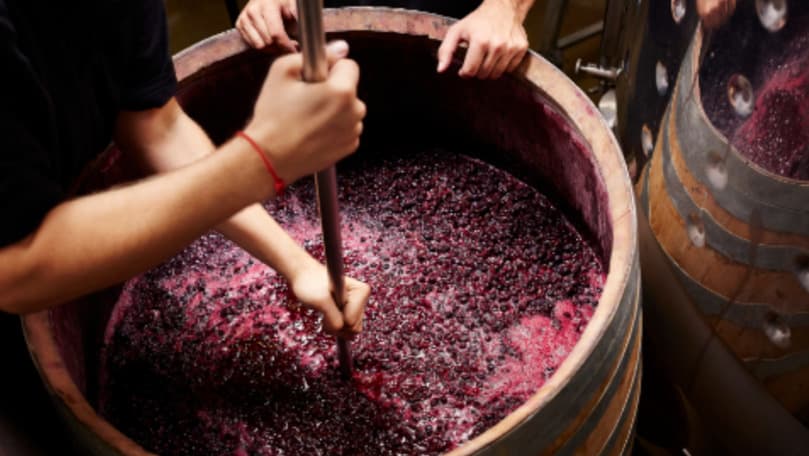 Atenție la tulburel: Cum vă poate ucide mustul lăsat la fermentat