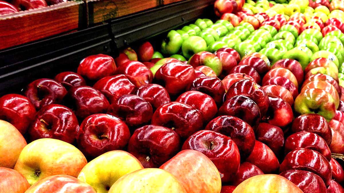 În atenția exportatorilor producției vegetale în Federația Rusă!