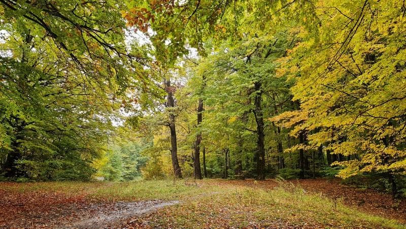 Istoria celor mai calde și mai reci zile de toamnă, din 1887, până în prezent - De la ninsorile din septembrie la foarte scurta vară de noiembrie