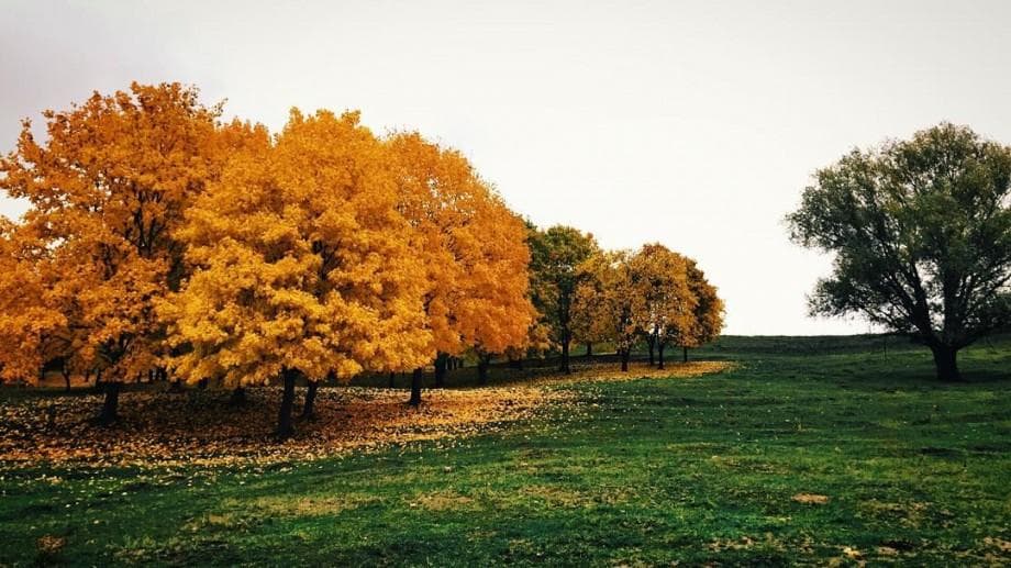 Ce vreme ne așteaptă în week-end