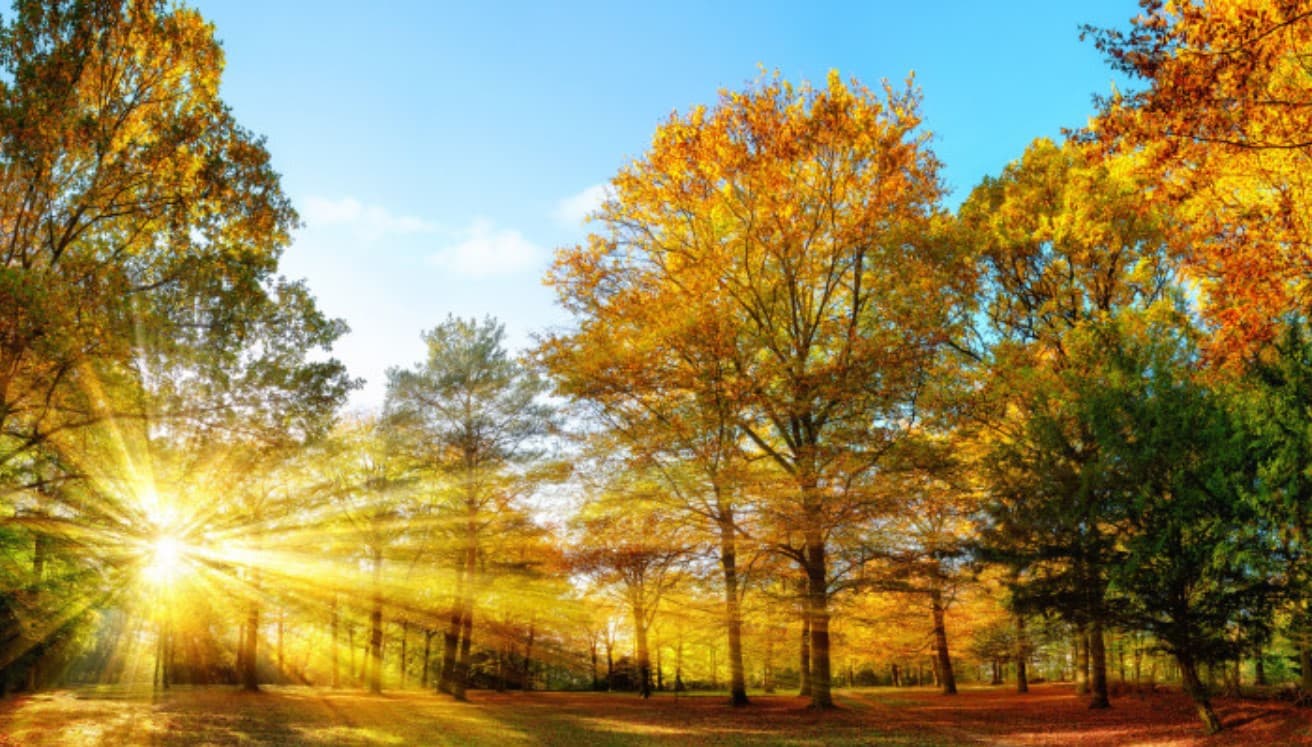 Vremea se încălzește. VEZI PROGNOZELE METEOROLOGILOR