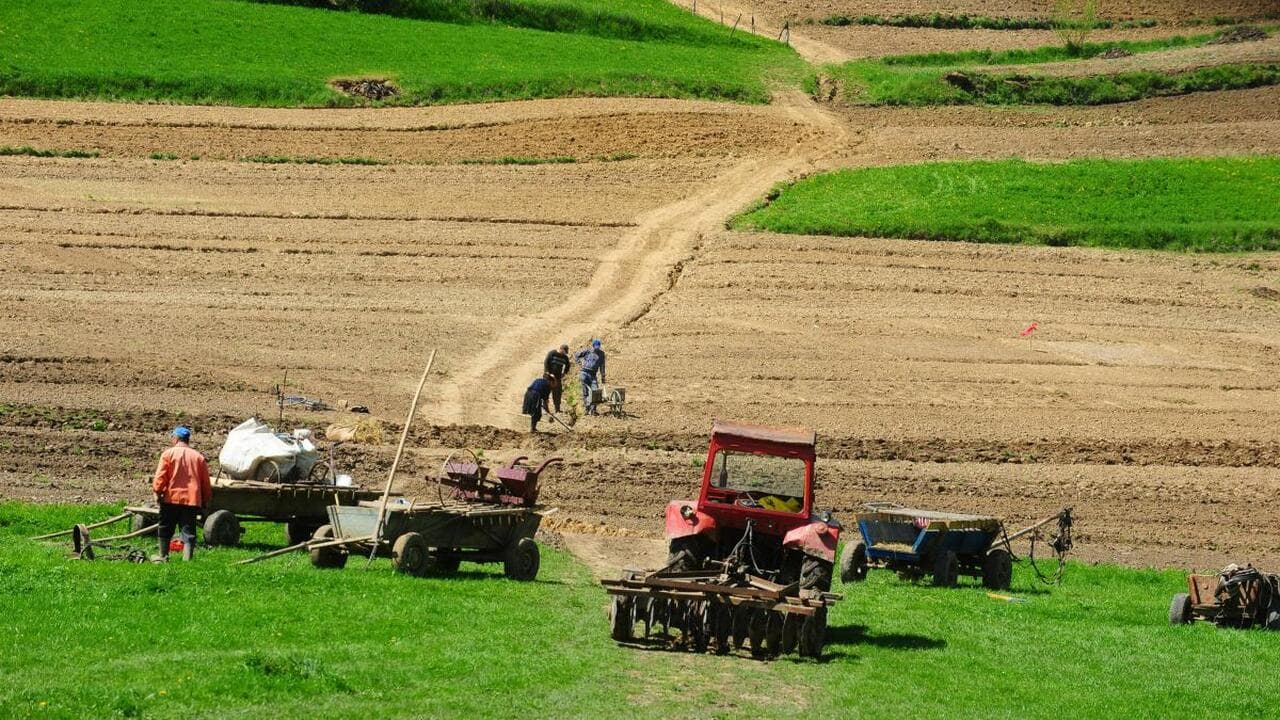 Fermieri scutiți de TVA