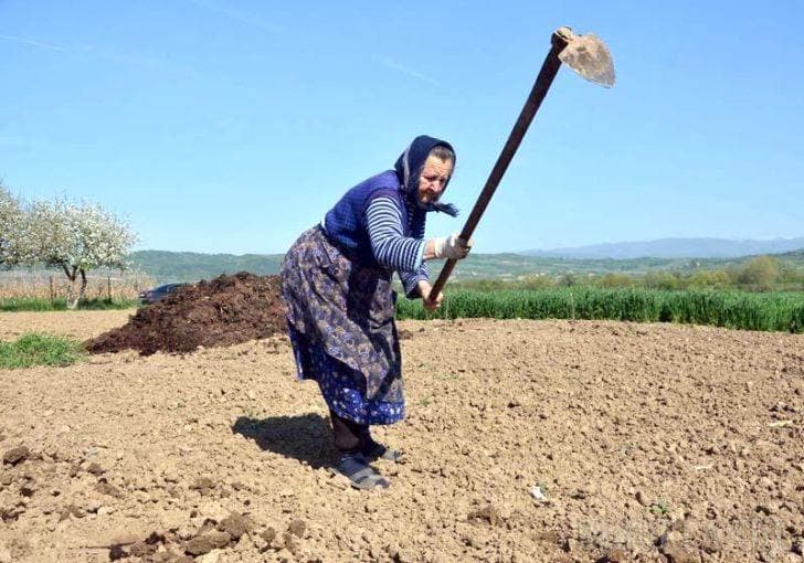 Peste un milion de femei locuiesc în mediul rural