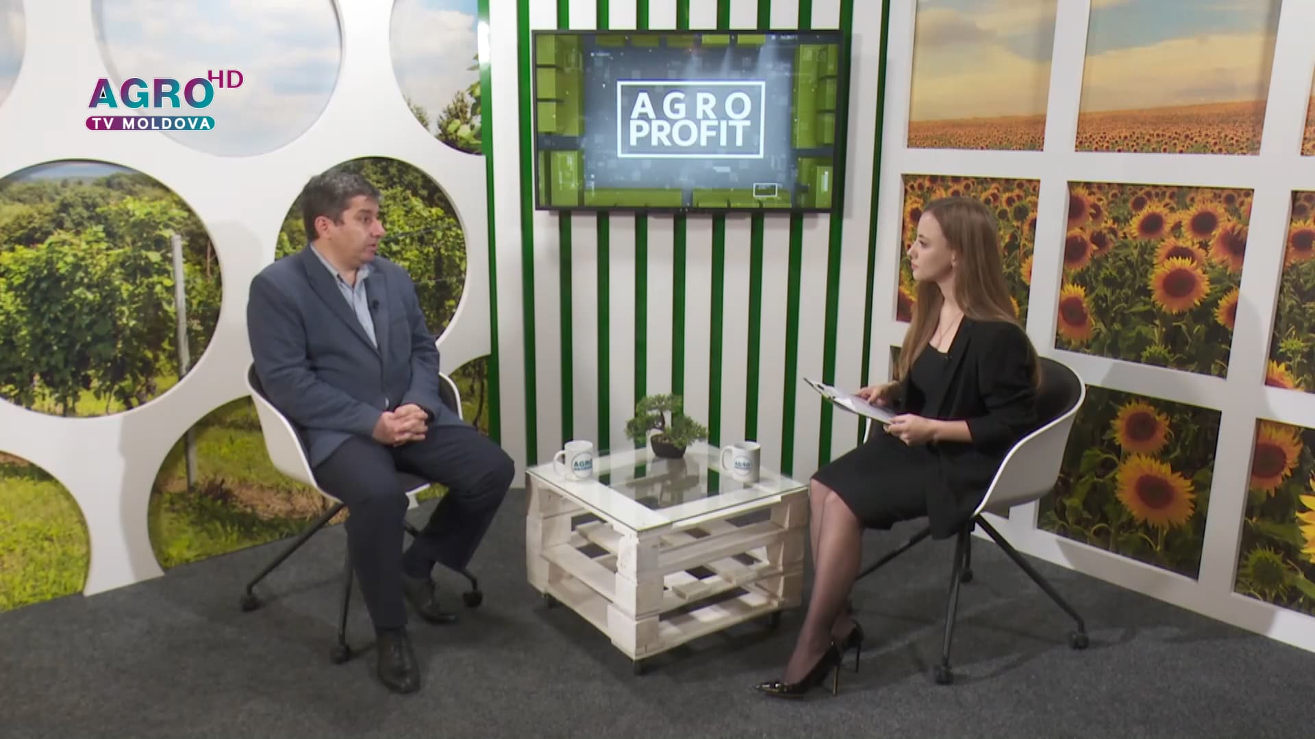 AGRO PROFIT – Idei de afaceri de la expertul Andrei Zbancă