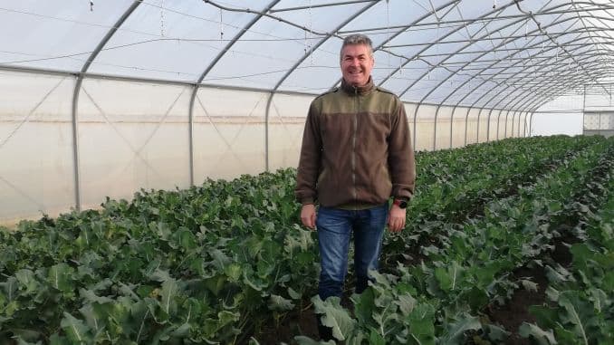 Ferma cu 15 solarii. Provocările unui business new-entry cu legume bio