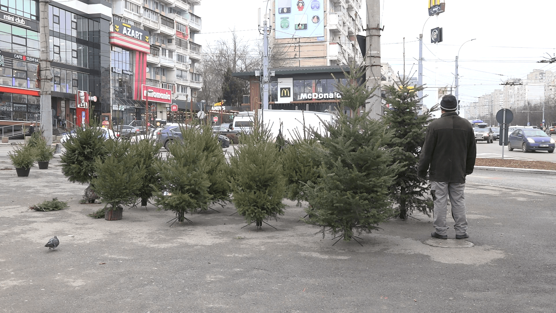 La așa prețuri, nici nu ți-i a dansa în jurul bradului…