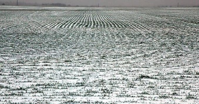 Lucrări agricole recomandate să se efectueze în sezonul de iarnă