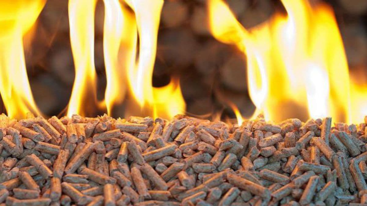 Biomasa agricolă și lemnoasă, potențial important pentru sectorul energetic din Moldova