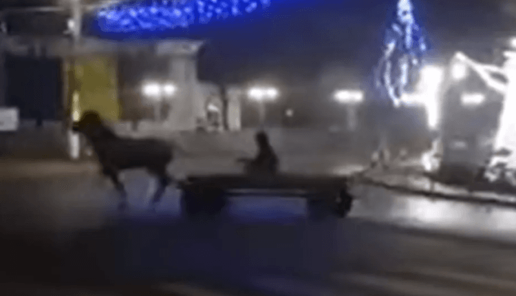 Cine n-are BMW, face drift și cu căruța… / VIDEO