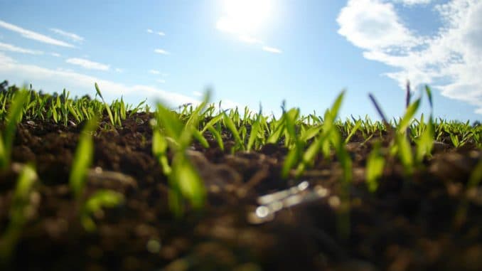 Granturi pentru fermierii care practică agricultură durabilă