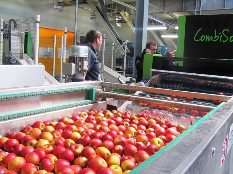 Businessul fructelor, o prioritate pentru Moldova