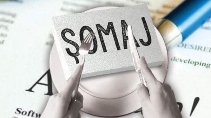 Analiza șomajului: Ce spun cifrele despre piața muncii – statistica despre persoanele care își caută un loc de muncă