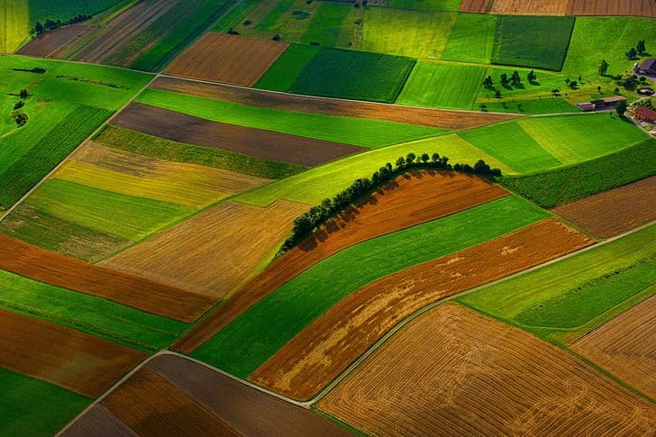 Și proprietarii terenurilor de până la 2 hectare vor putea primi subvenții
