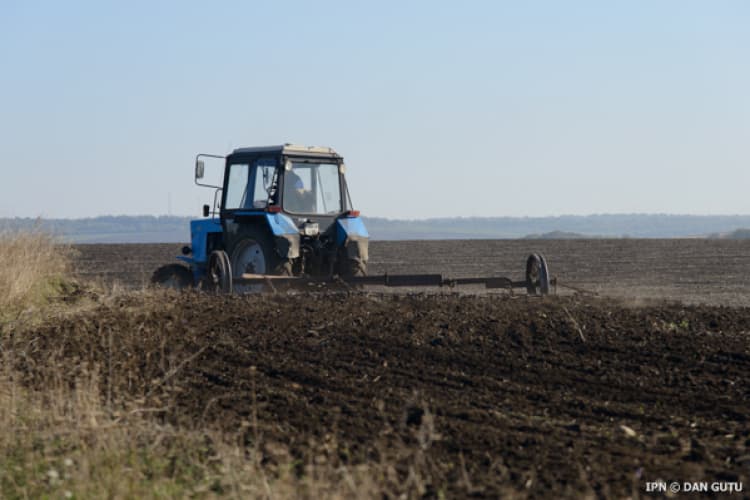 Tiraspolul limitează accesul fermierilor la terenurile din raionul Dubăsari