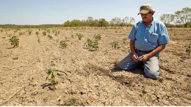 ”Anual, agricultorii sunt prejudiciați de sute de milioane de lei”
