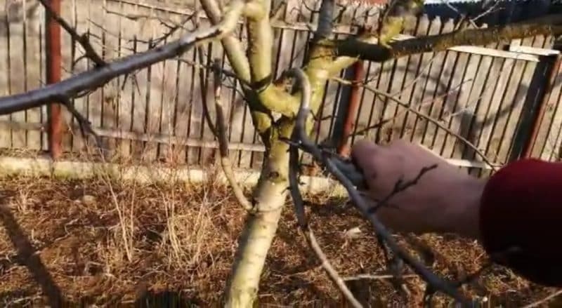 Vremea caldă ne scoate din casă. Iată câteva lucrări pregătitoare pe care le putem demara