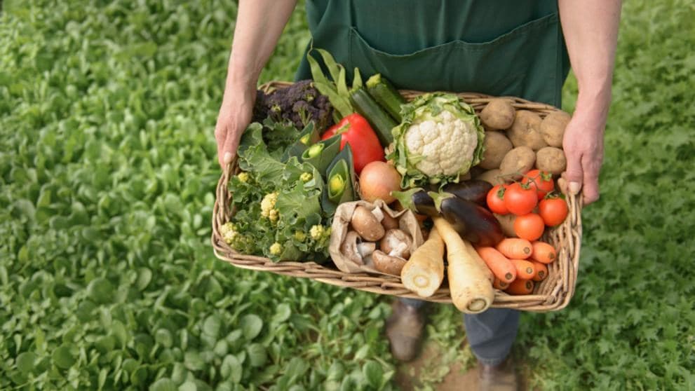 Țara care obligă fermierii sa treacă la agricultura ecologică