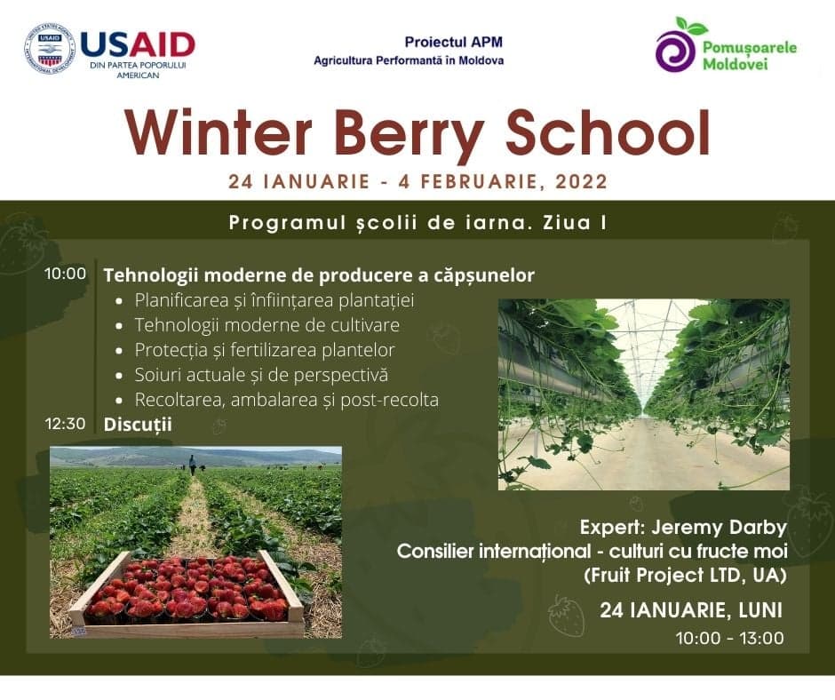 Producătorii de pomușoare, invitați să participe la Winter Berry School