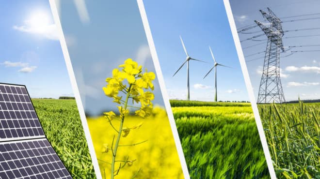 Afacerile ecologizate în Moldova sunt mai competitive pe piață