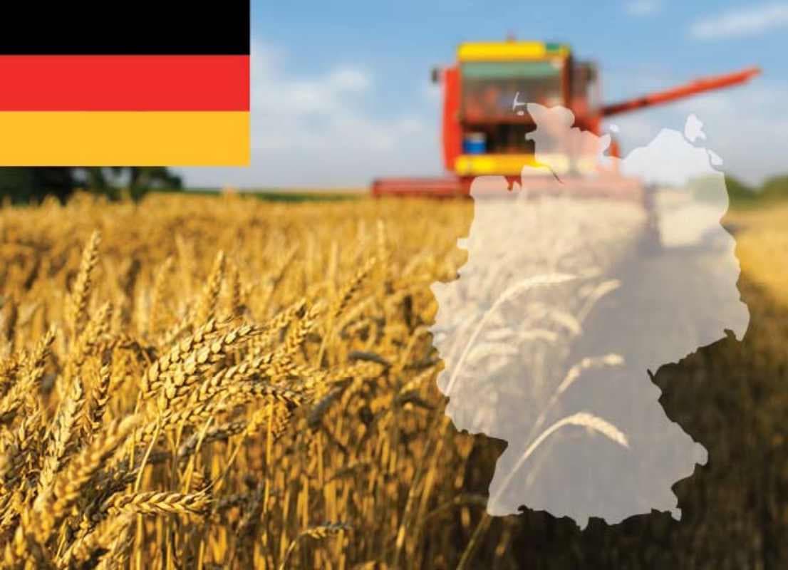 Germania, nevoie disperată de forță de muncă din alte țări. Ce salarii se acordă?