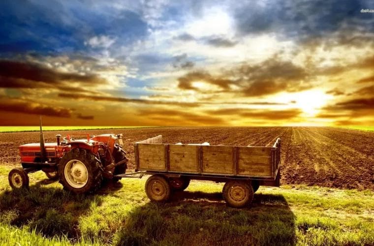 STATISTICA: Anul agricol 2021 în cifre