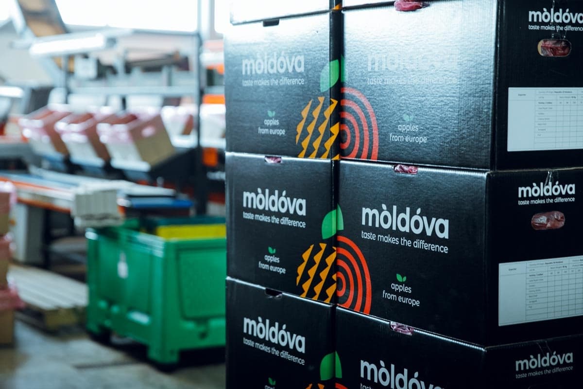 Metode inovative de export al fructelor moldovenești / FOTO