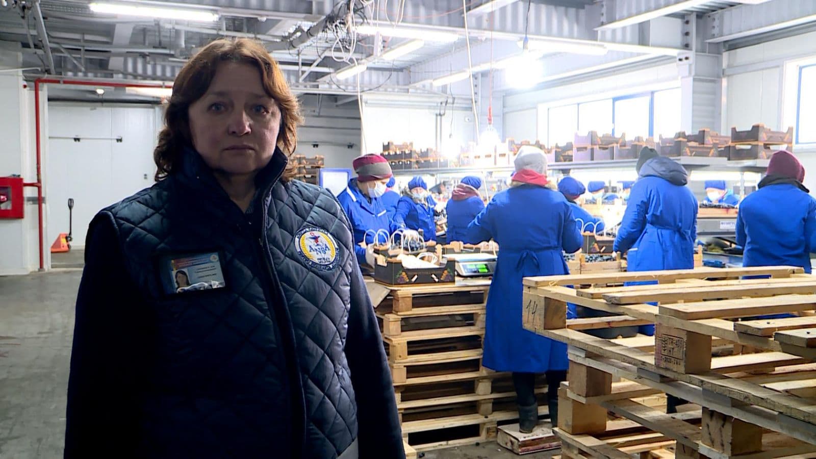 Cum pot producătorii agricoli să obțină certificatul fitosanitar