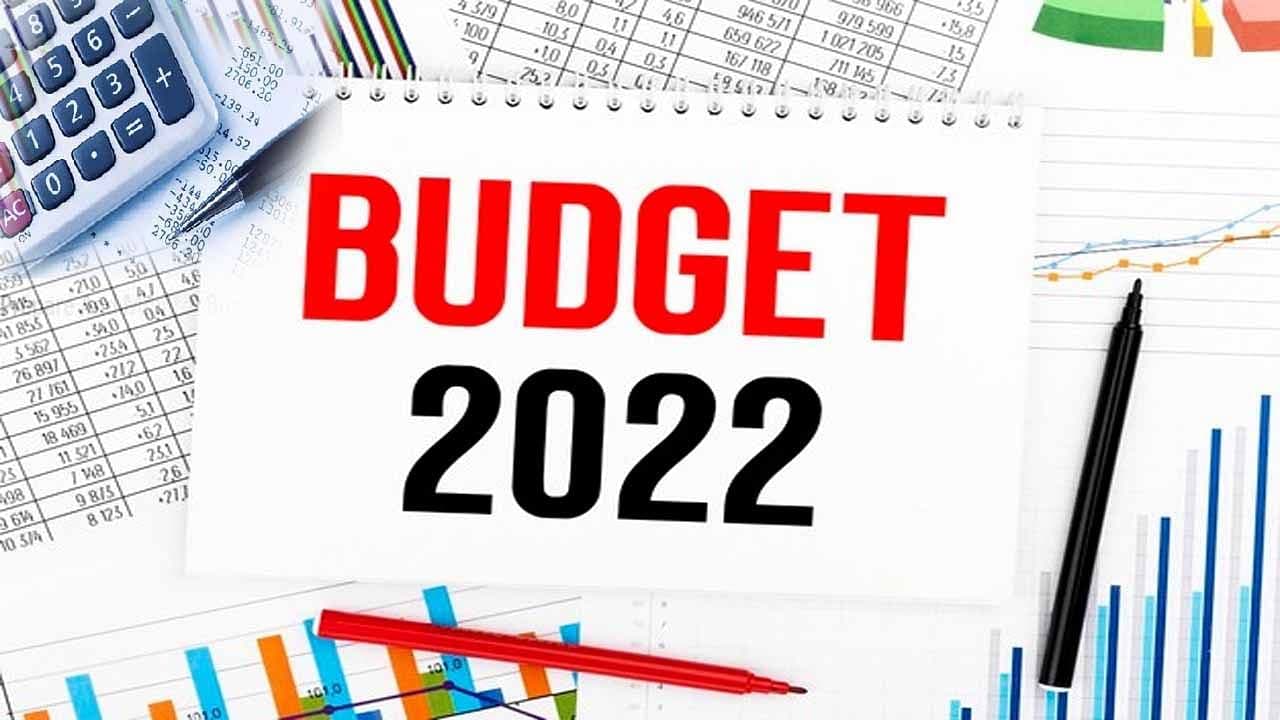 Prognoze pentru bugetul din 2022 / VIDEO