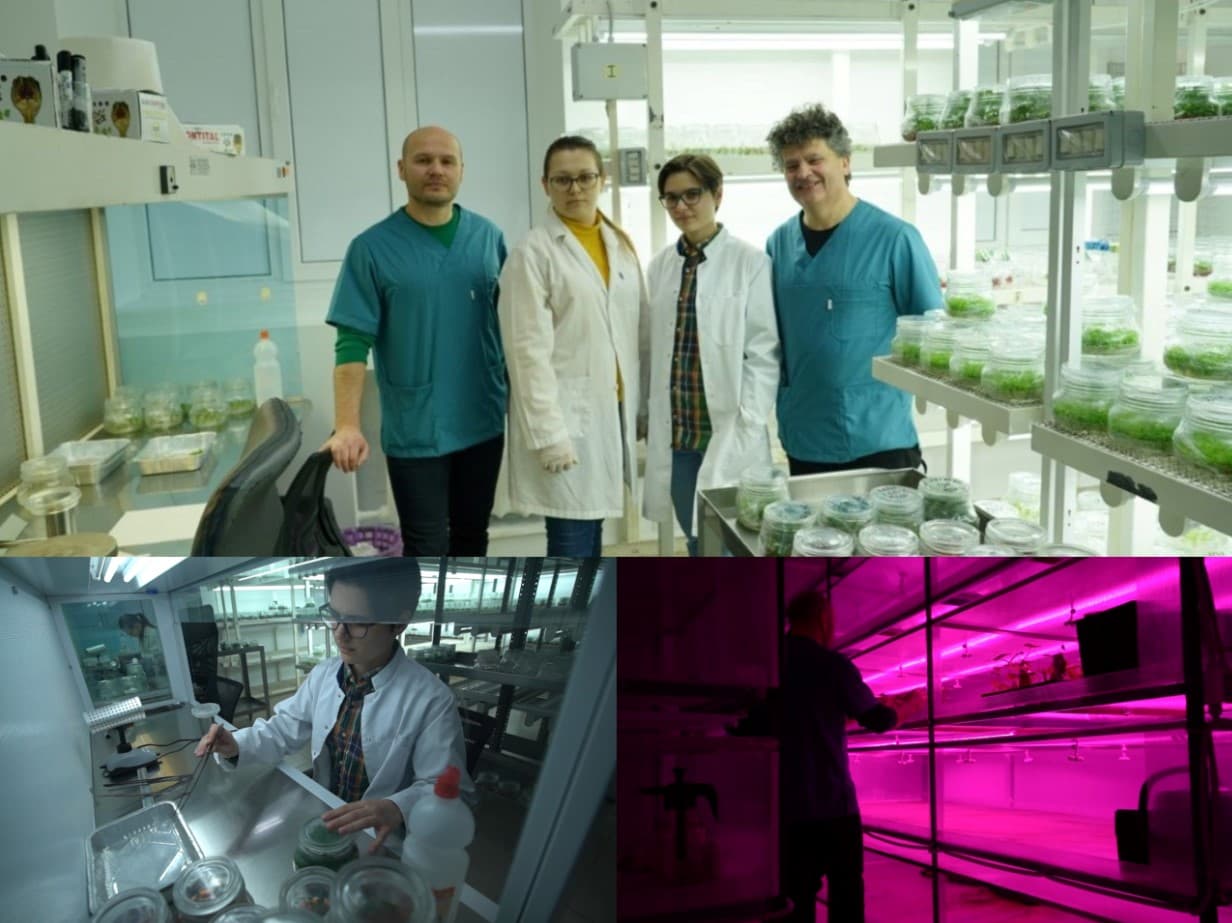 Laboratorul de micropropagare a plantelor cu ajutorul digitalizării