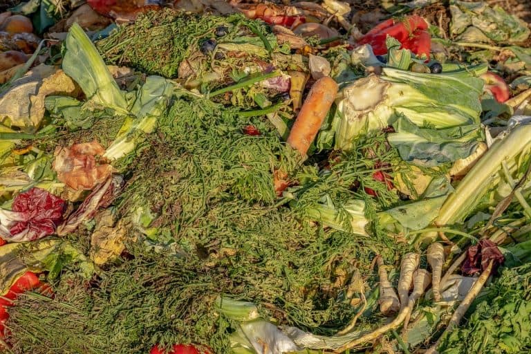 Află cum să faci compost. Iată câteva trucuri