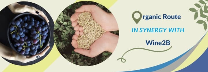 Lansare: „Parteneriatul estic cu UE: conexiuni de afaceri agroalimentare”