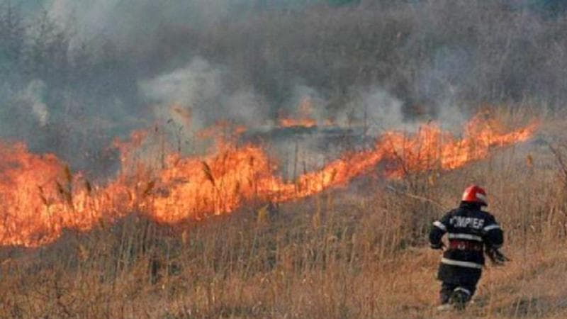 Incendii de vegetație în mai multe raioane, din cauza vântului