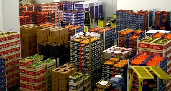 Cum obținem rezultate bune la depozitarea legumelor şi fructelor