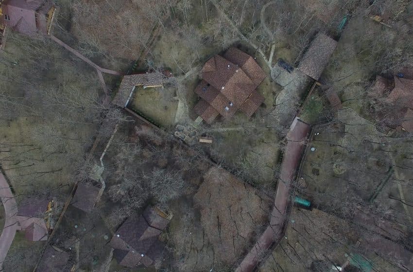 Milioane pierdute pentru neajustarea contractelor de arendă a pădurilor